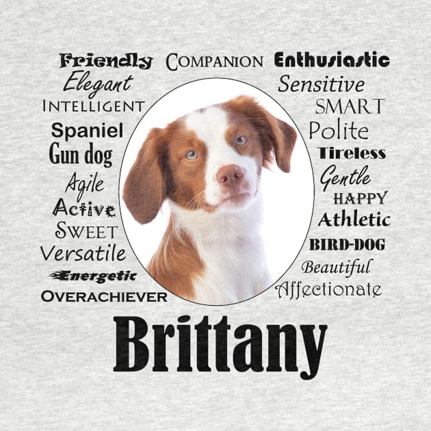 Brittany Traits by You Had Me At Woof